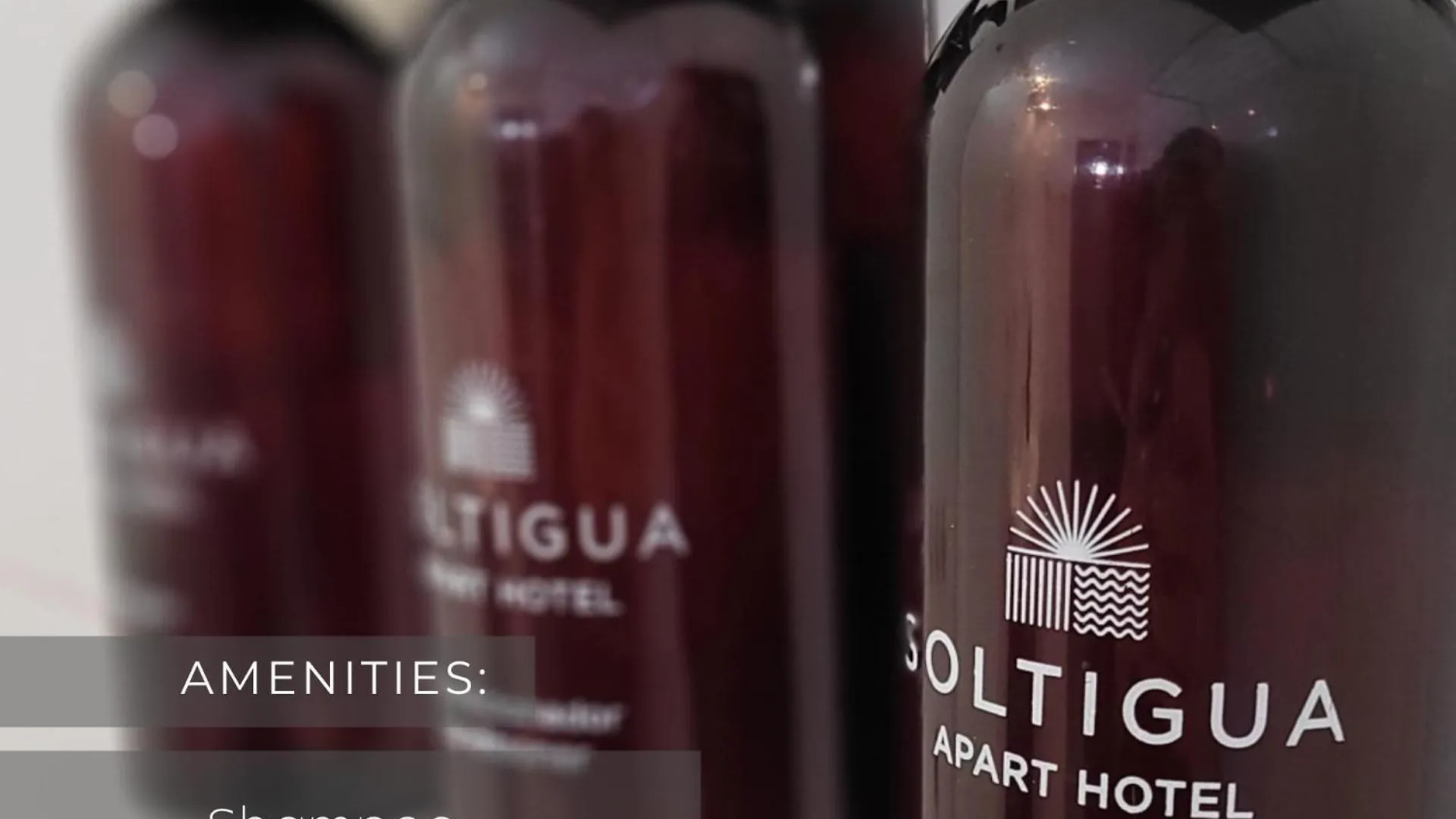Aparthotel Soltigua Apart Hotel Mendoza